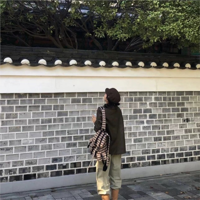 Zaino vintage Harajuku da donn - Women'S Vegan Bags recensione e prezzo